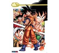 Empire Interactive - Poster "Dragon Ball - Son Goku Story - Manga anime - dimensioni 61 x 91,5 cm + 2 listelli per poster in alluminio, 63 cm