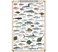 Empire Interactive - Poster, Soggetto: I Pesci del Mediterraneo, con Articolo in Omaggio 2 aste Nere