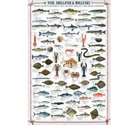 Empire Interactive - Poster, Soggetto: Pesci, molluschi e crostacei 2 aste Nere