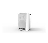 CASSA AUDIO PRO WALL300 WIRELESS UHF (HT.WALL300U)