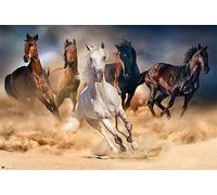 empireposter 738097 Cavalli - Mandria - Naturale Poster Foto Cavalli - Dimensioni 91,5 x 61 cm, Carta, Multicolore, 91,5 x 61 x 0,14 cm