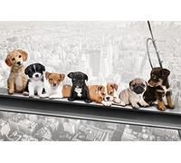 empireposter 744012 Cani su Acciaio con Bretelle - New York skydogs - Spaß Città Cuccioli Poster Stampa - Dimensioni 91,5 x 61 cm, Carta, Multicolore, 91,5 x 61 x 0,14 cm