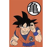 empireposter Dragon Ball - Coperta in pile Son-Goku, dimensioni 100 x 140 cm