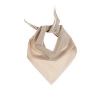 Emporio Armani, ,Accessories ,Uomo ,Beige ,ONE SIZE Sciarpa Triangolare