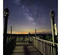 Empty Flowers - Four