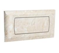 Empyreal Placca di Comando WC,per Geberit 200F, 115222111 (Beige-Y4) | con Set di Leve di Scarico e Viti di Installazione, 340 x 185mm, 1 Pezzo