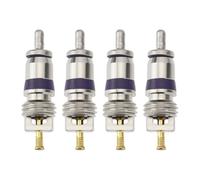 EMSea 4 Pezzi Nucleo Valvola Aria Condizionata Auto Nucleo Valvola di Riempimento Refrigerante Inserto 3C0 820 795 8E0 820 855 KTT500012 Compatibile con BMW