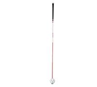 EMUKOEP Ausilio per L'allenamento dello Swing da Golf da 119 Cm con Feedback Uditivo, per la Pratica Indoor e Lo Sviluppo della Memoria Muscolare, Trainer Sonoro per Swing Stick A