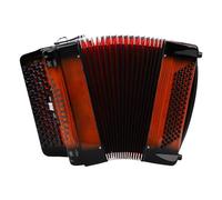 EMUKOEP Fisarmonica Professionale a 69 Tasti 96 Pulsanti per Bassi Strumento Bayan in Scala Cromatica per Musicista Arancione