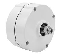 EMUKOEP Generatore di Magneti Permanenti Alternatore Elettrico a Tre Fasi di CA Fa Avanzare le Forniture Industriali (Senza raddrizzatore 24 V.)