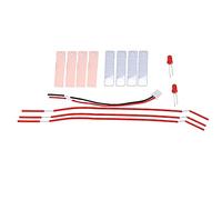 EMUKOEP Kit Educativo Fai-da-te Sulla Batteria della Frutta, Migliora le | Materiali sicuri, Facile assemblaggio, Esperienza di apprendimento divertente, Attività STEM, Migliora il pensiero logico