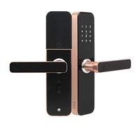 EMUKOEP Smart Door Lock con Wi-Fi con Chiavi di Impronte Digitali del Pannello Tattile Sblocco della Scheda Applicazione per la Sicurezza Dell'ufficio per il Tuo