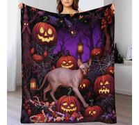 EMYXPAQM Coperta in Pile Con Halloween, Coperta Per Letto, Divano E Divani Con Sphynx Cat Spider Web, Morbida E Leggera, Idee Regalo Per Donna, Uomo, Bambino, 60x80inch(150x200cm)