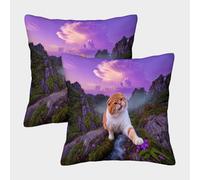 EMYXPAQM Federe Per Cuscini Scottish Fold Set Di 2, Copricuscini Con Stone Forest Stream Poliestere Morbido Elegante Decorativa Per Arredare Il Tuo Divano, Poltrona 50x50cm