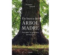 En busca del Árbol Madre: Descubre la sabiduría del bosque