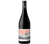 En Passant 2022 - Domaine Gayda Pays d'Oc