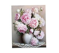 Enbebamd DIY Oil Painting Digital Frameless Handpainted Peony Flowers Pictures Canvas Painting for Living Room Wall Art Home Decor 1SetDIY Oil