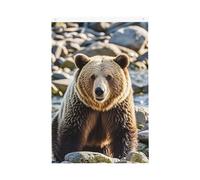 Encounter Animal Bear Welcome Garden Flag 2x3 Ft No Fade Double Sided Casa Yard Bandiere Outdoor Banner Decor Per Cortile Portico Prato