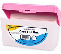 Enday Custodia organizer per schede flash, 7,6 x 12,7 cm, con chiusura a scatto, per ricette, contiene 250 carte, disponibile anche in viola, rosso, verde, blu, grigio (1 pz)
