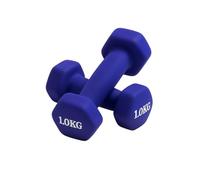 Endless Neoprene Coated Fixed Dumbbell for Gym Exercises | Pair of 1 Kg (2 * 2.2 LB) | Material : Iron with Vinyl Coat | Weights for Women and Men | Color: Multicolor