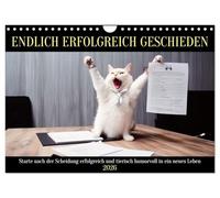 Endlich erfolgreich geschieden (Wandkalender 2026 DIN A4 quer), CALVENDO Monatskalender: Starte nach der Scheidung erfolgreich und tierisch humorvoll in ein neues Leben