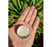 Endomicorriza Rhizophagus Irregularis 50G TERRALBA Crescita Radici Semina