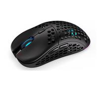 ENDORFY LIX Mouse da gioco ambidestro RF senza fili + USB Type-C ottico 16000 DPI - Nouvo