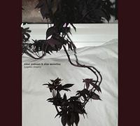 Endresen, Sidsel & S - Didymoi Dreams