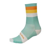 Endura Bandwidth Calzini Uomo (Pacco da 1)