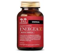 SALUGEA ENERGE 60Cps