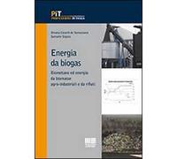 Energia da biogas