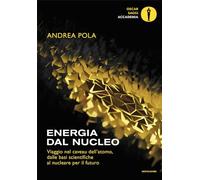 Energia dal nucleo. Viaggio nel caveau dell'atomo, dalle basi scientifiche...
