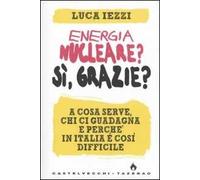 Energia nucleare? Sì, grazie? A cosa serve, chi ci guadagna e perché in Italia è così difficile