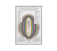 Energy Anatomy Chart Poster - Chakra System, Aura Field & Human Body Integration, Colorful Educational Canvas for Wellness Studio, Home Office (Unframed,16x24inch(40x60cm))