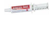 ENERGY FAST SIRINGA OS 80G