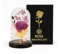 ENERGY GROUP ONLINE Rosa Eterna con Luci LED sotto Cupola - Idea Regalo Romantica per San Valentino, Anniversario, Festa della Mamma - Decorazione Elegante per Casa (ROSA GLICINE)