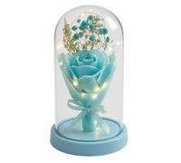 ENERGY GROUP ONLINE Rosa Eterna con Luci LED sotto Cupola - Idea Regalo Romantica per San Valentino, Anniversario, Festa della Mamma - Decorazione Elegante per Casa,Regalo (ROSA BLU CIELO)