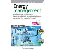 Energy management. Fondamenti per la valutazione, la pianificazione e il control