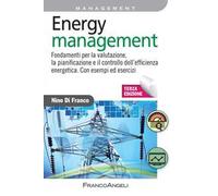 Energy management. Fondamenti per la valutazione, la pianificazione e il controllo dell'efficienza energetica. Con esempi ed esercizi