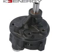ENERGY PW303338 Pompa idraulica sterzo per CHRYSLER VOYAGER IV (RG, RS)