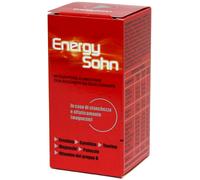 ENERGYSOHN 12 BS