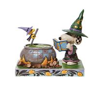 Enesco Peanuts by Jim Shore - Statuetta di Snoopy e Woodstock che circonda un calderone, 14 cm, multicolore