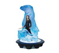 Enesco Ww of Harry Potter Hermione & Light Up Patronus Figurine