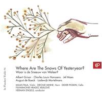 Engels, Herman/ Pal'A, Milan - In Flanders Fields Vol 96: Where Are The Snows Of