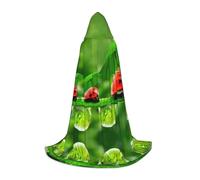 ENGhjes Divertente mantello con cappuccio a forma di coccinella, per Halloween, strega, vampiro, mago, ballo in maschera