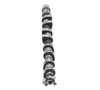 Engine Camshaft Albero A Camme For Chevrolet Aveo 1.6l L4 2009 55561748 CP1695