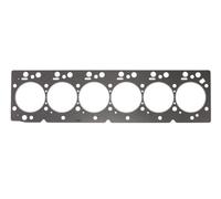 ENGITECH ENT010539 Guarnizione, Testata