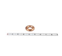 ENGITECH ENT250048 Guarnizione, Portapolverizzatore
