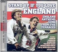 England Fans - Stand Up If You Love England