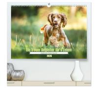 Englischer Cocker Spaniel (hochwertiger Premium Wandkalender 2026 DIN A2 quer), Kunstdruck in Hochglanz: Eine wundervolle Hunderasse, ein treuer Begleiter im Leben.